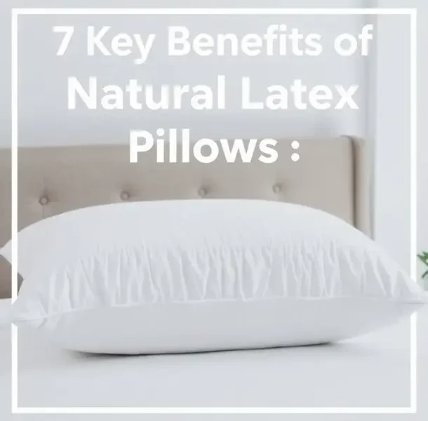 7 Key Benefits of Natural Latex Pillows: An Ultimate Guide