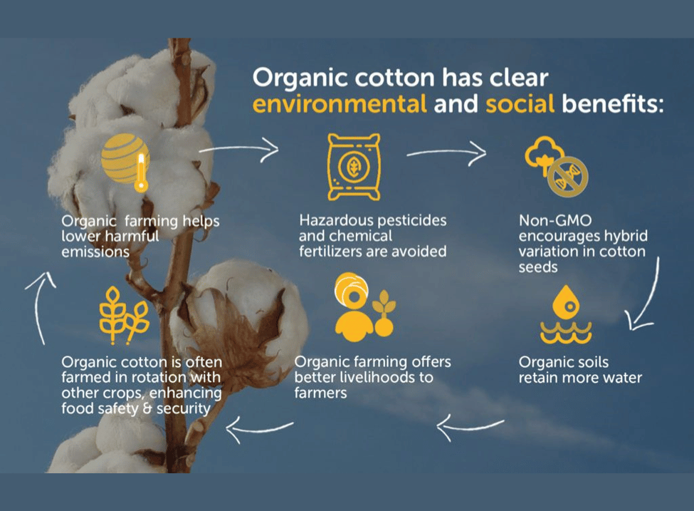 organic cotton with various benefits