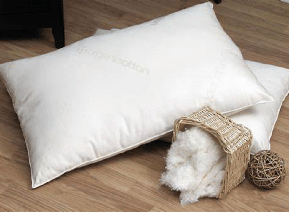 Naturepedic organic cotton pillows