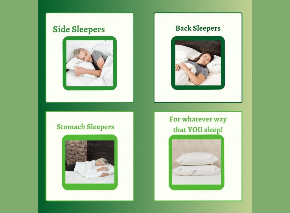  Natural Latex Pillows for back and side sleepers known for their comfort and support