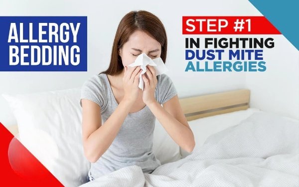 How Anti-Allergy Pillows Combat Dust Mites